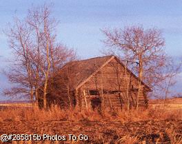 Old shack during early spring